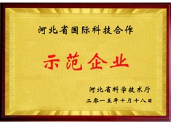 河北省国合示范企业