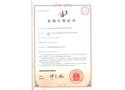 氧化纤维素专利证书